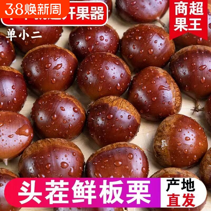 2025年丹东板栗新鲜生栗子5斤大果糖炒毛板栗仁油锥栗整箱包邮