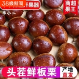 丹东大板栗*净重4.5斤礼金+下拉点金币12.9元包邮