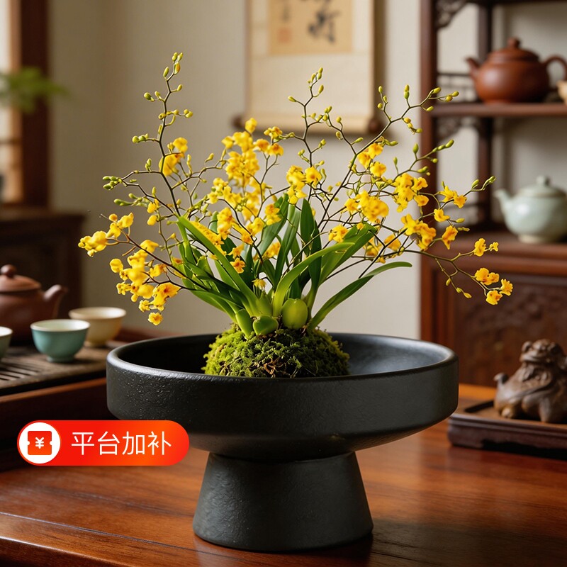 苔藓球托盘花盆陶瓷盆中式亚光简约桌面摆件水培米竹干果盆托国风