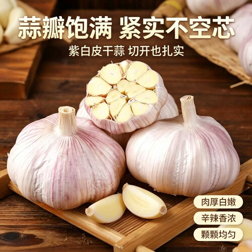 河南大蒜新干蒜蒜瓣农家自种