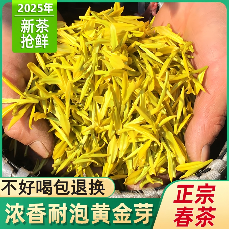 【超2000人回购】黄金芽明前新茶