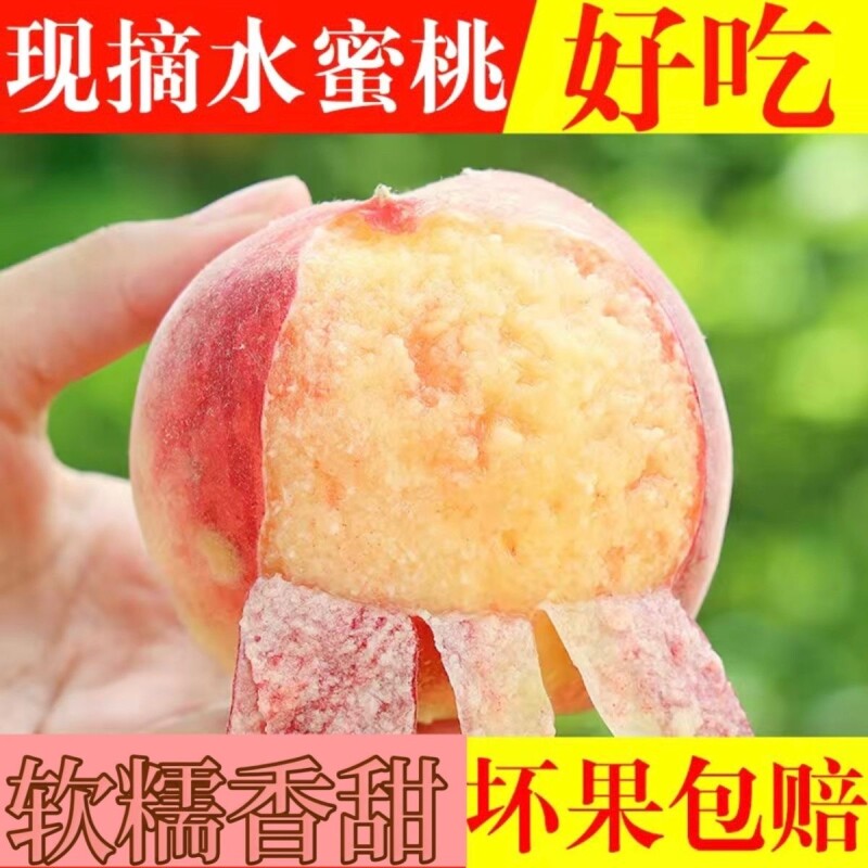新鲜水蜜桃现摘甜毛脆桃子孕妇时令当季水果整箱鲜甜多汁山水鲜果