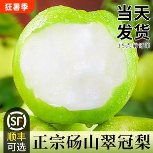 砀山青梨梨子新鲜水果皇冠梨当季翠冠梨香酥脆蜜早雪梨整箱包邮9