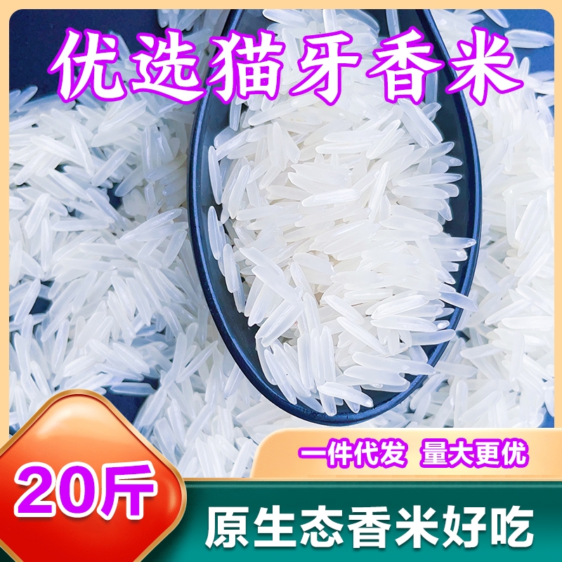 小包装正宗猫牙米长粒香米新米农家晚稻大米米1斤5斤10斤20斤试吃