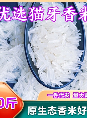 小包装正宗猫牙米长粒香米新米农家晚稻大米米1斤5斤10斤20斤试吃