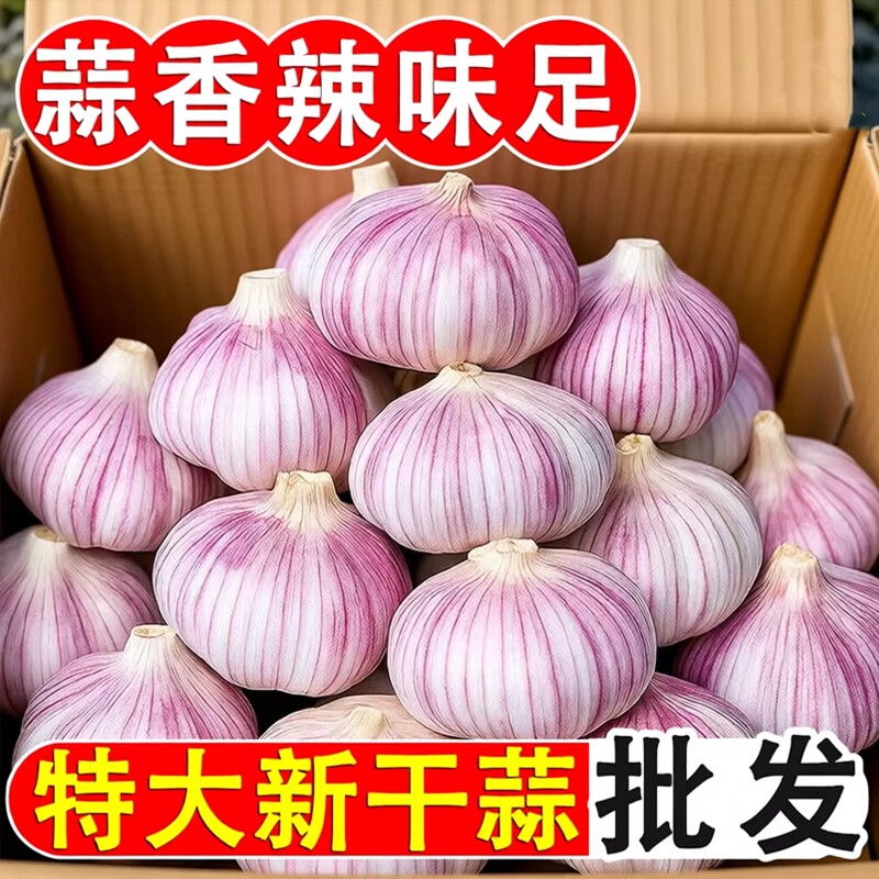山东金乡紫皮大蒜头干蒜批发农家自种新鲜蔬菜红皮大蒜子蒜蓉蒜米