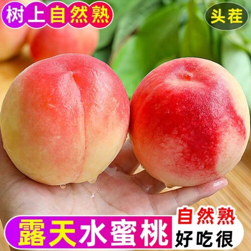 山西水蜜桃现摘脆甜爆汁