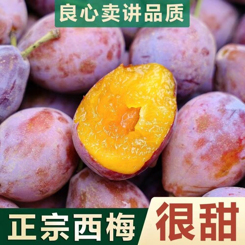 新鲜高山西梅水果应季孕妇水果时令鲜果酸甜多汁果园速发现摘整箱