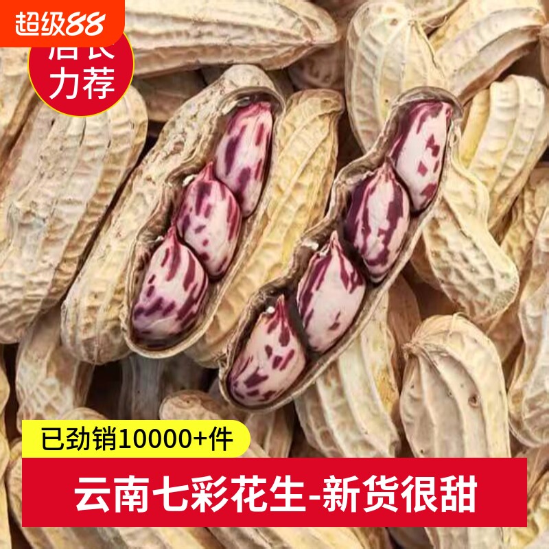 七彩花生云南野地五彩花生带壳图片