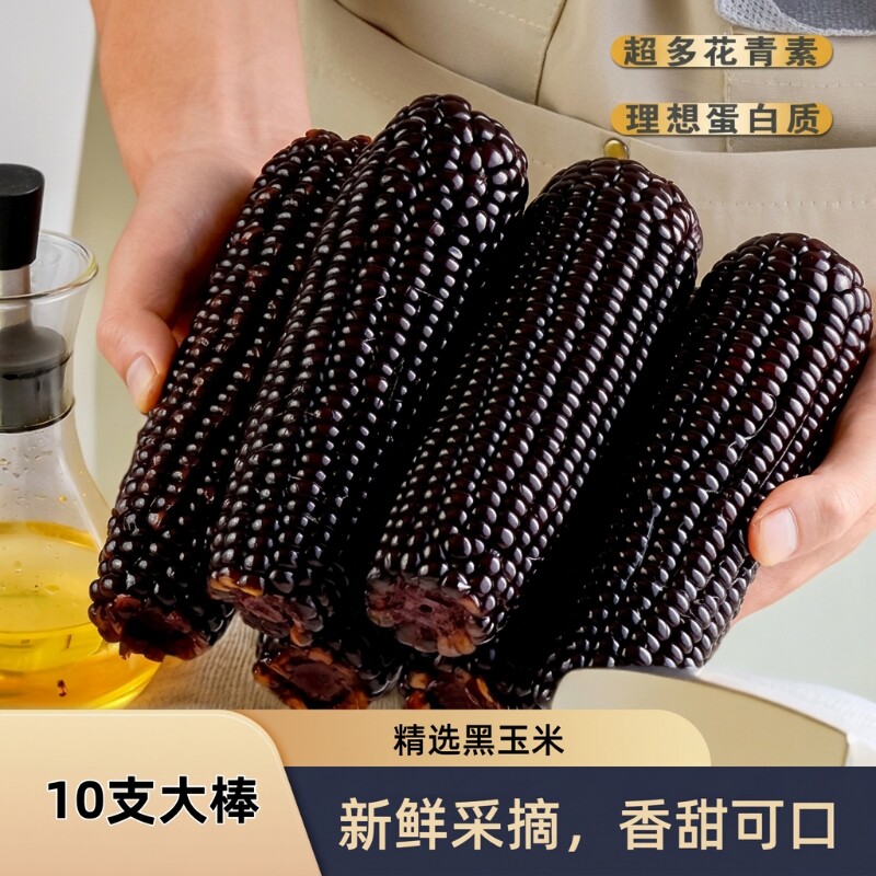 东北黑糯玉米新鲜真空包装软糯粘苞米粗粮代餐现摘黑玉米健康香甜