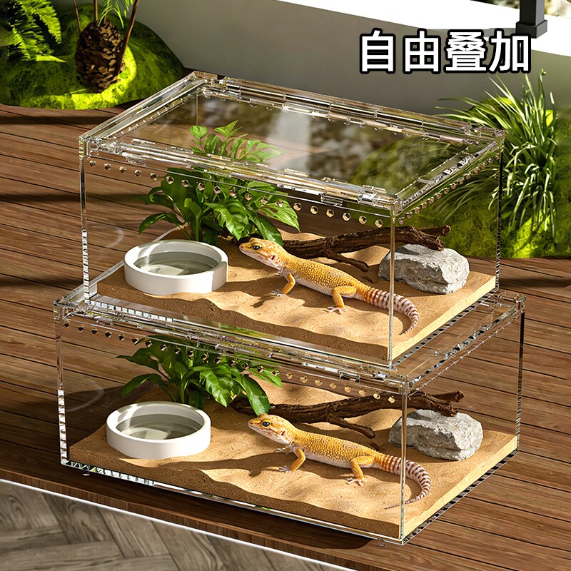 爬宠守宫饲养箱蜥蜴面包虫角蛙蝈蝈蛇寄居蟹甲虫生态饲养盒造景