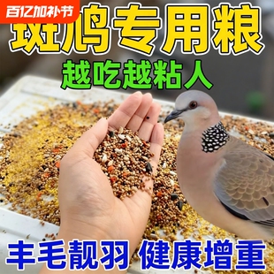 斑鸠专用粮食幼鸟投喂谷物鸽子中小颗粒五色黍子饲料通用营养鸟粮