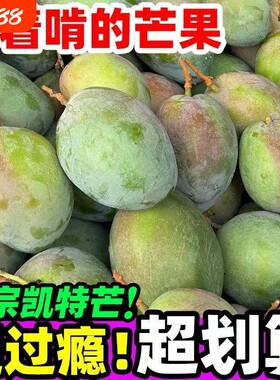 攀枝花凯特芒新鲜水果批发整箱精品大果青皮凯特芒果孕妇水果包邮