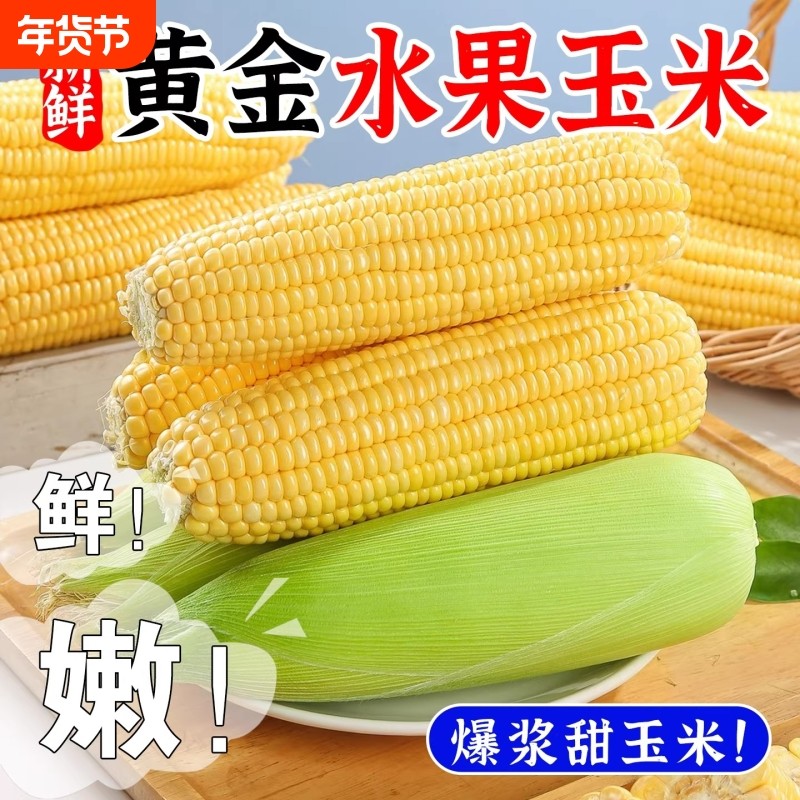 新鲜云南水果甜玉米新鲜水果玉米新鲜糯玉米爆浆甜脆玉米,水产肉类/新鲜蔬果/熟食,新鲜玉米,淘宝优惠券,粉丝福利购,淘宝优惠卷