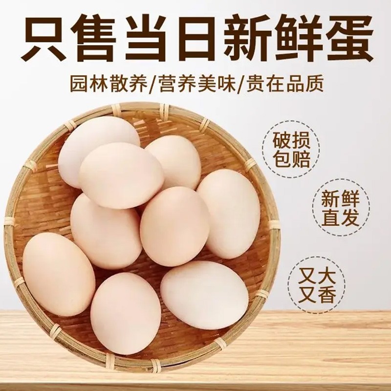 农家谷物鸡蛋新鲜农家散养土鸡蛋柴鸡蛋笨鸡蛋鲜鸡蛋现捡45g50枚