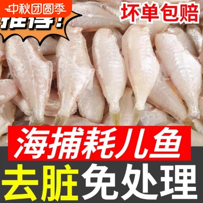 耗儿鱼新鲜马面鱼扒皮老鼠鱼新鲜冷冻冰鲜剥皮鱼火锅整商用