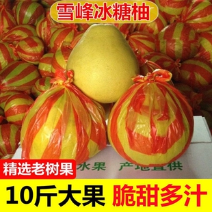 湖南怀化雪峰山冰糖柚子安江小柚子新鲜水果白心苦柚老树土柚药柚