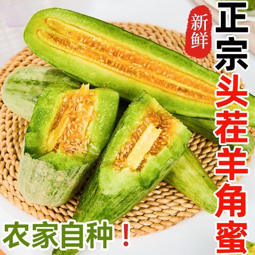 现摘头茬羊角蜜甜瓜香瓜博洋9号山东新鲜水果当季时令整箱甜包邮