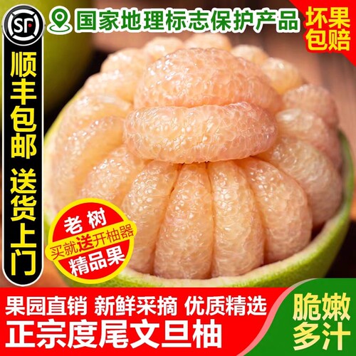 福建度尾红心文旦柚产地直发当季新鲜红心柚新鲜水果30年现摘现发