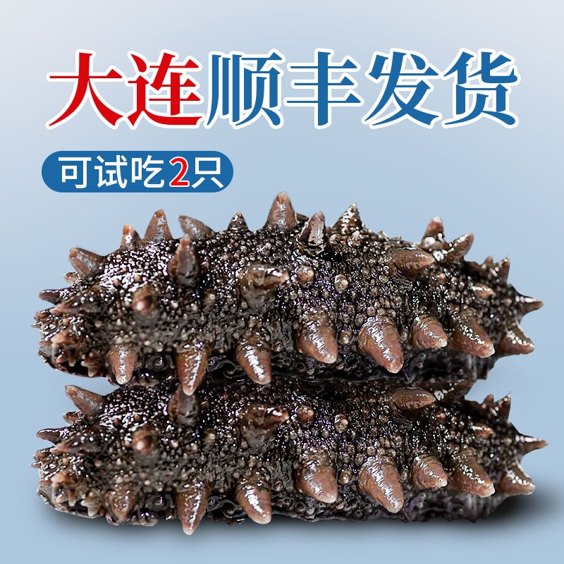 海参即食【大连顺丰发货】500g鲜活辽参海生刺参单个装官方旗舰店