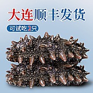 海参即食【大连顺丰发货】500g