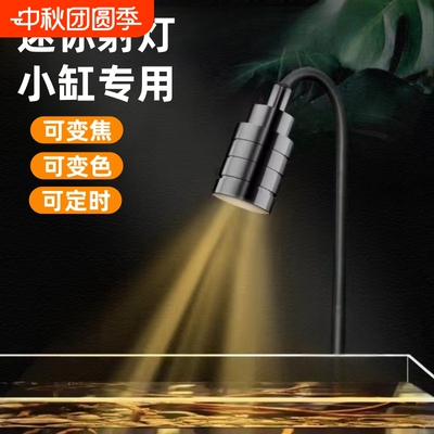 鱼缸南美射灯可调焦三色变光