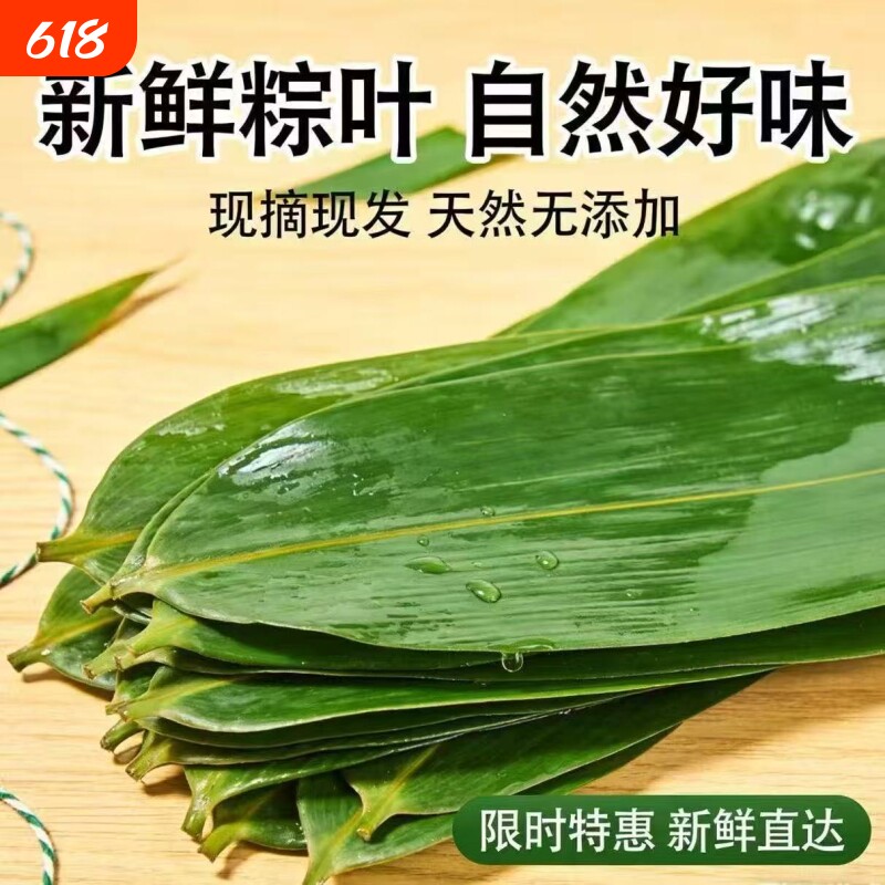 新鲜粽子叶新鲜大号100片包粽子的叶子干粽叶特大野生本地粽叶干