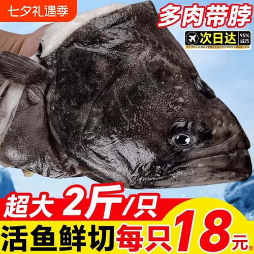 深海鲽鱼整条蝶鱼中段碟鱼新鲜冷冻海水鱼鸦片鱼比目鱼鲜活水产