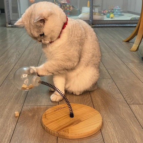 猫咪漏食玩具自嗨解闷消耗体力弹簧逗猫棒冻干漏食球宠物益智用品