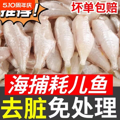 耗儿鱼新鲜马面鱼扒皮老鼠鱼新鲜冷冻冰鲜剥皮鱼火锅整商用