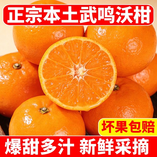 正宗广西武鸣沃柑新鲜现摘水果一级蜜橘砂糖柑橘桔子10大果斤整箱
