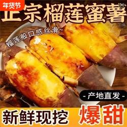 【北部湾火山红薯】湛江红薯榴莲蜜薯软糯香甜精选品质新鲜地瓜