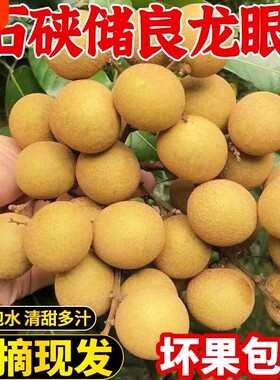 顺丰包邮广东高州石硤龙眼新鲜