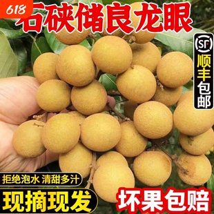 顺丰包邮广东高州龙眼新鲜水果石峡储良桂圆3斤5斤9斤冷链石硖