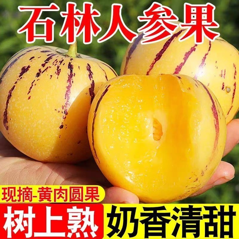 【石林直发】鲜嫩多汁清甜爽口