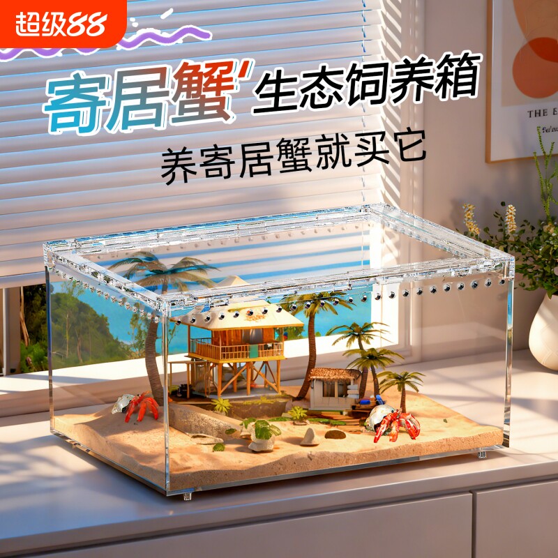 爬宠饲养盒角蛙饲养箱水陆两用带盖透明守宫睫角甲虫独角仙乌龟缸图片
