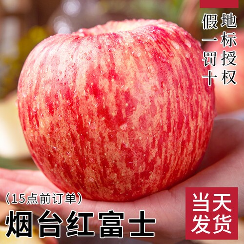 烟台红富士苹果产地直发
