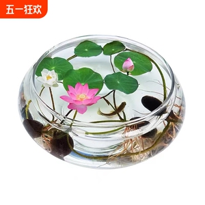 透明大号玻璃花瓶水培花盆金鱼缸水养植物碗莲盆睡莲水仙盆桌面