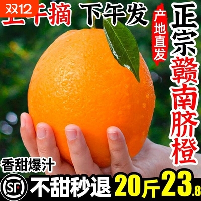 正宗江西赣南脐橙橙子水果新鲜应当季整箱赣州产地直发10斤甜手剥