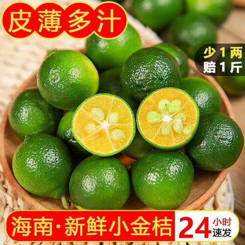 海南小金桔青金桔新鲜青柠檬应当季水果奶茶店专用