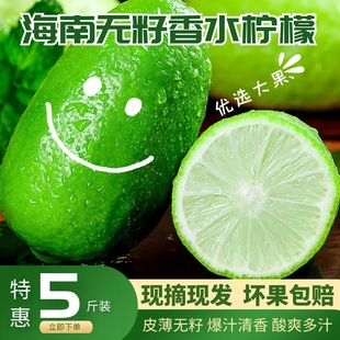 无籽香水青柠檬薄皮子弹头柠檬新鲜现摘小青柠檬薄皮奶茶店专用