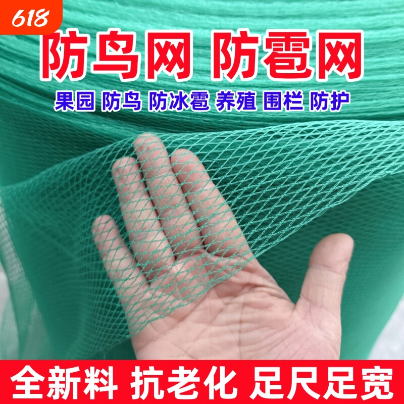 防鸟网果树防鸟网罩果园防鸟罩用网尼龙围栏养鸡专用围网小鸟阳台