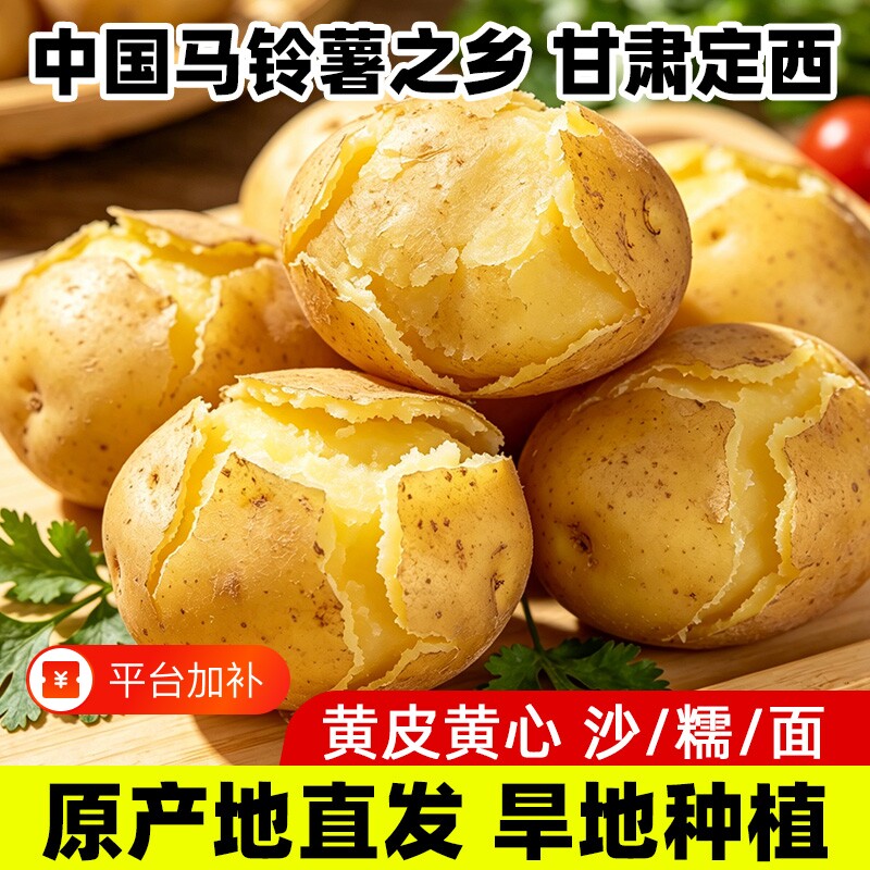 苹果优选甘肃定西沙面土豆新鲜现挖黄皮黄心蔬菜农家自种粉糯洋芋