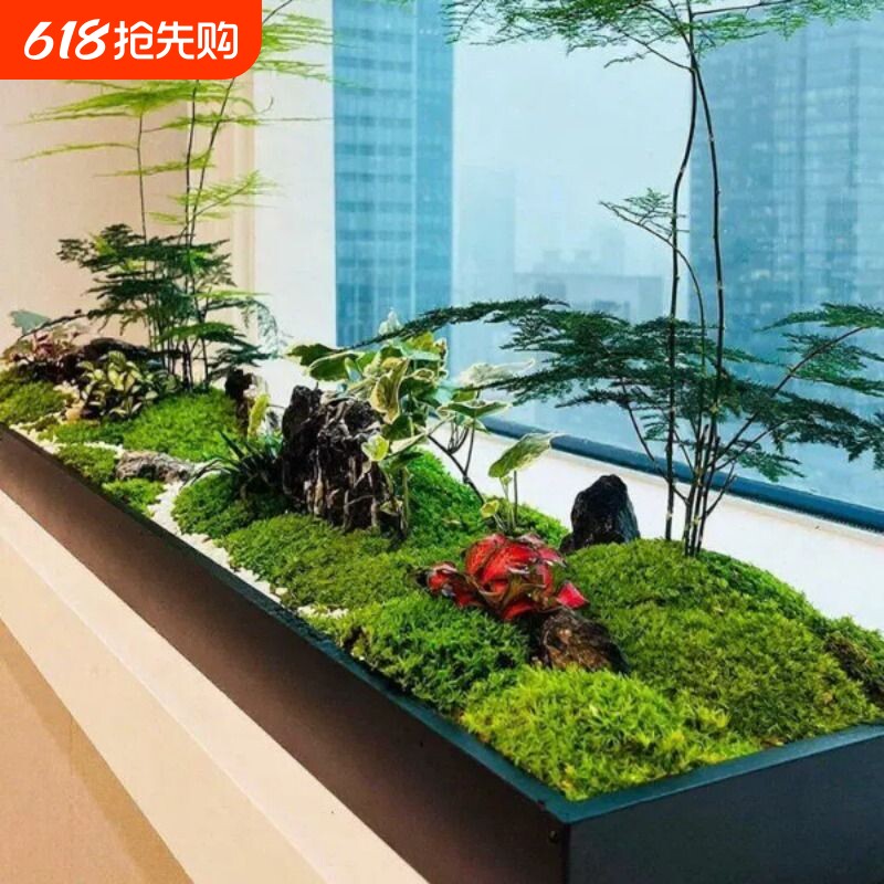 铁艺造景花盆长方形桌面景观绿植苔藓托盘花器室内装饰不锈钢花槽
