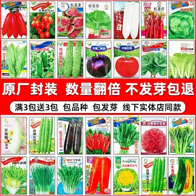 秋天籽种大全萝卜四季青菜白菜