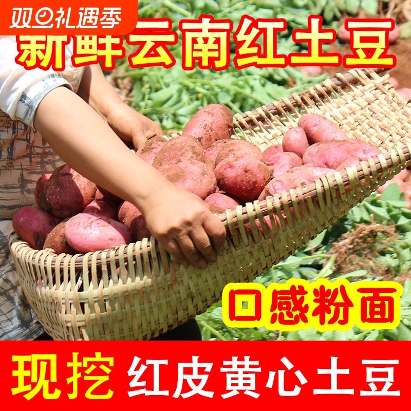 2025云南新鲜红皮黄心大土豆包邮云南特产农家自种当季蔬菜马铃薯