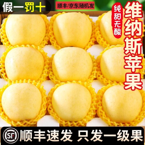 顺丰山东维纳斯黄金苹果新鲜水果当季整箱奶油富士苹果脆甜精选