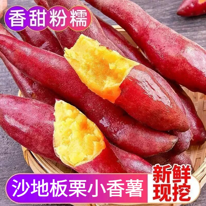 正宗沙地板栗小香薯5斤农家现挖地瓜新鲜粉糯甜红薯批发番薯食用