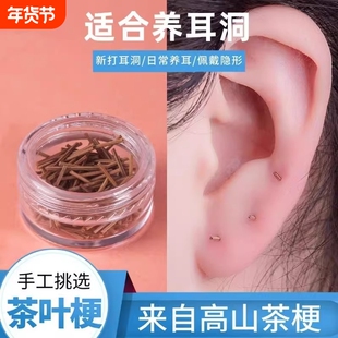 茶叶梗耳棒养耳洞茶梗消炎棒防过敏防发炎茶叶棒耳钉防堵打耳洞