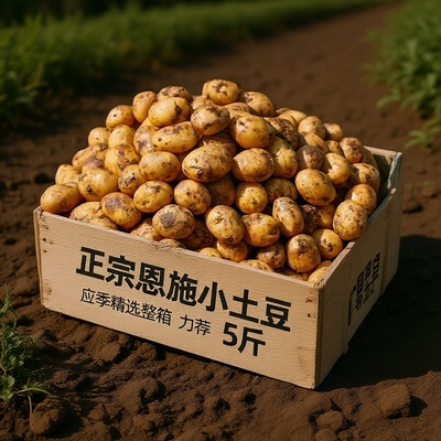 正宗恩施小土豆现挖湖北新鲜黄心土豆当季蔬菜迷你马铃薯洋芋应季